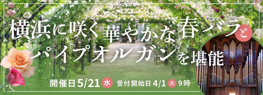 横浜に咲く華やかな春バラとパイプオルガンを堪能