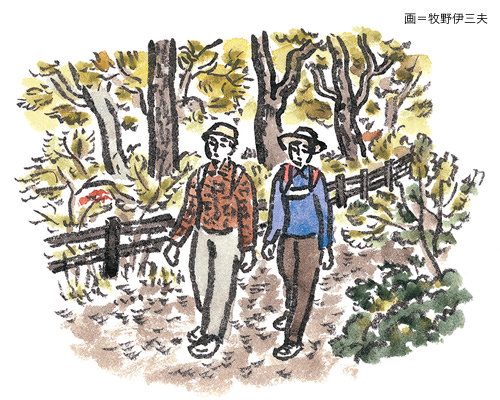 illustration : Makino Isao