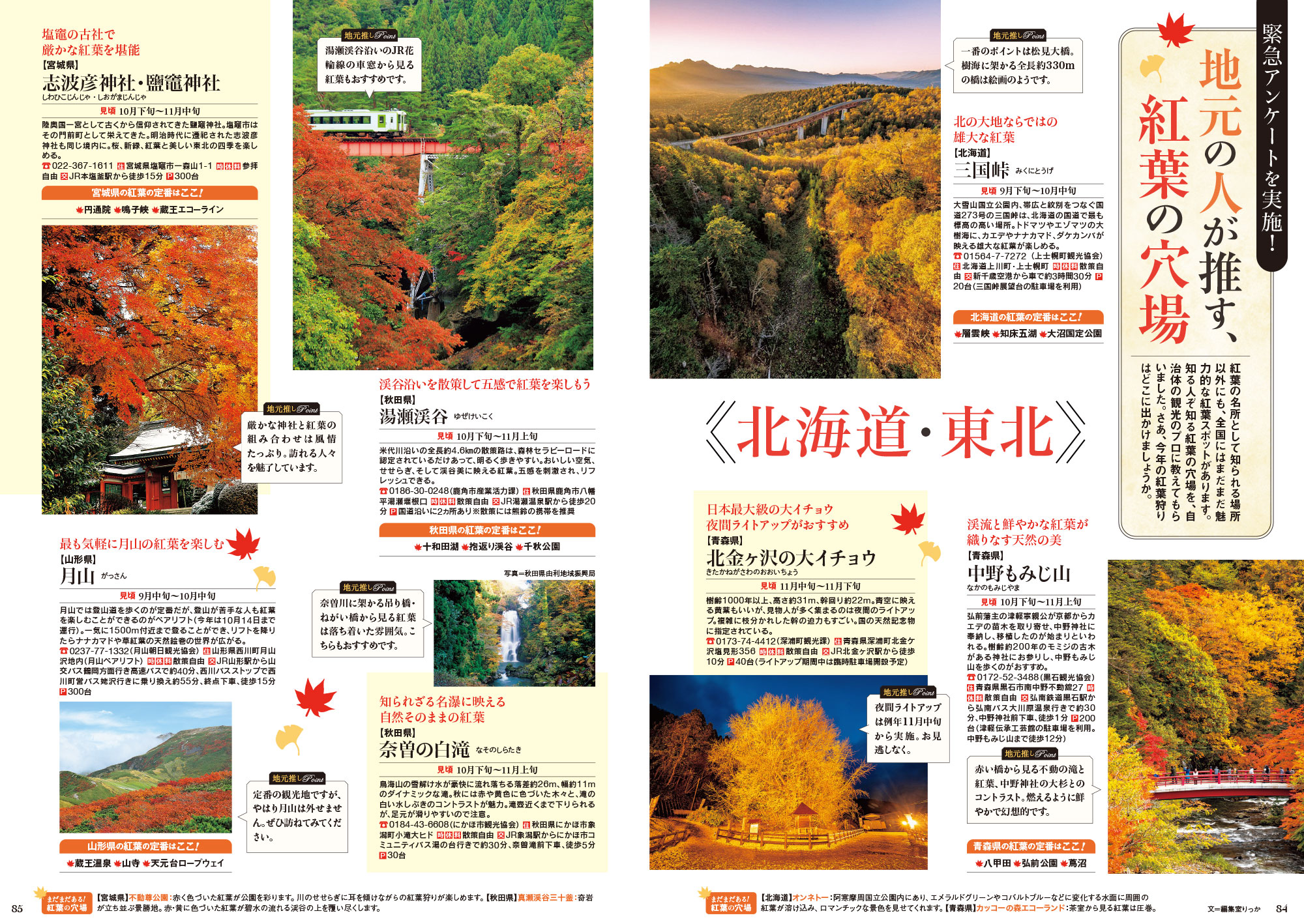 最新刊のご紹介 ノジュール｜50歳からの旅と暮らしを応援する定期購読